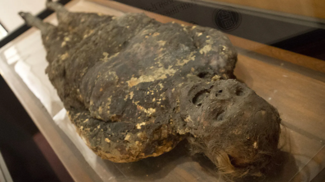 அருங்காட்சியகங்கள் பின்னால் இருக்கும் மோசமான வரலாறு