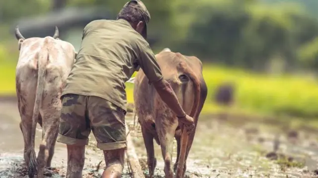 தமிழக விவசாயிகள்