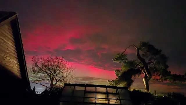 El lateral de un tejado puntiagudo con paneles de madera, una estructura de cristal y dos grandes árboles (uno de ellos dramáticamente retorcido), todos capturados bajo un cielo de color rosa intenso teñido de nubes grises.