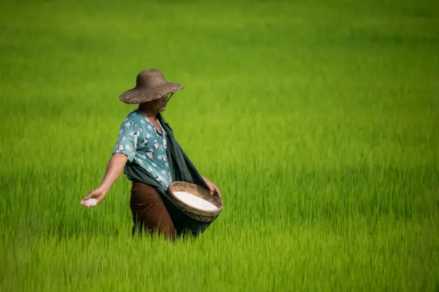 မုန်တိုင်းကြောင့် အခြေခံစားသောက်ကုန်နဲ့ ဆေးဝါးတွေကို လုပ်ငန်းရှင်တွေစျေးမကစားဖို့ ပြော