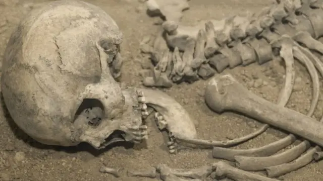 डीएनए, तमिळ