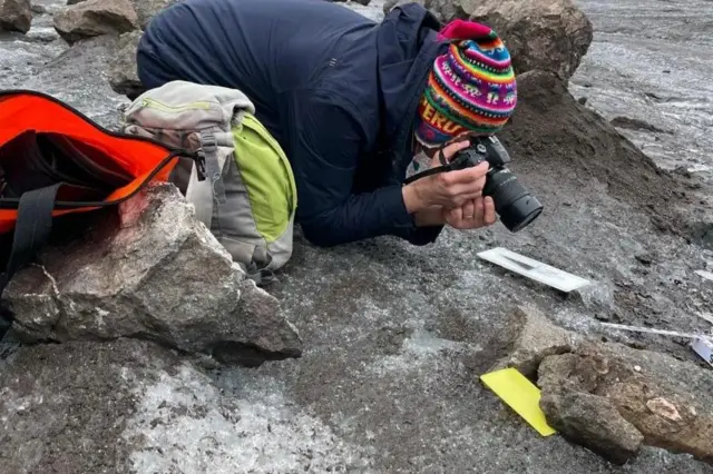 ہنریک آرکٹوسکی پولش انٹارکٹک سٹیشن کے محققین نے باقیات کو احتیاط سے ریکارڈ کیا