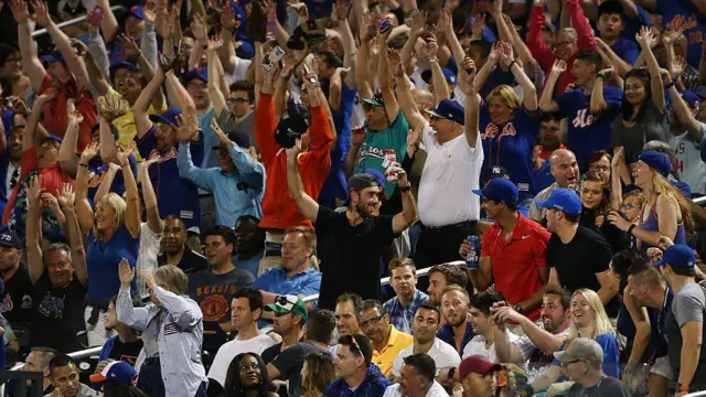 क्रिकेट फैन्स