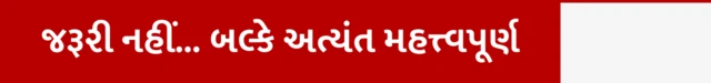 જરૂરી નહીં... બલ્કે અત્યંત મહત્ત્વપૂર્ણ ટર્મ ઇન્શ્યૉરન્સ