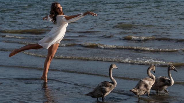 راقصة خلف البط على شاطئ بحيرة