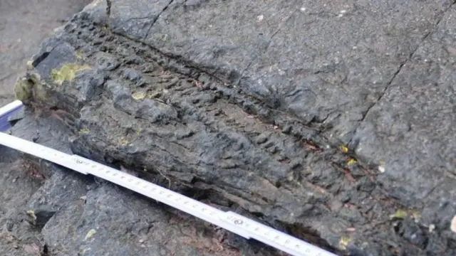 Aworan ori oke apata