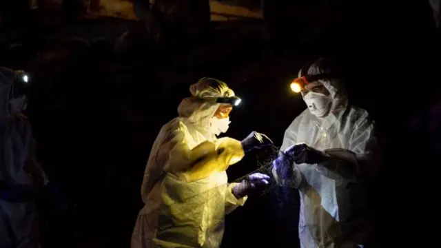 Cientistas durante trabalhoroulette betanocampo