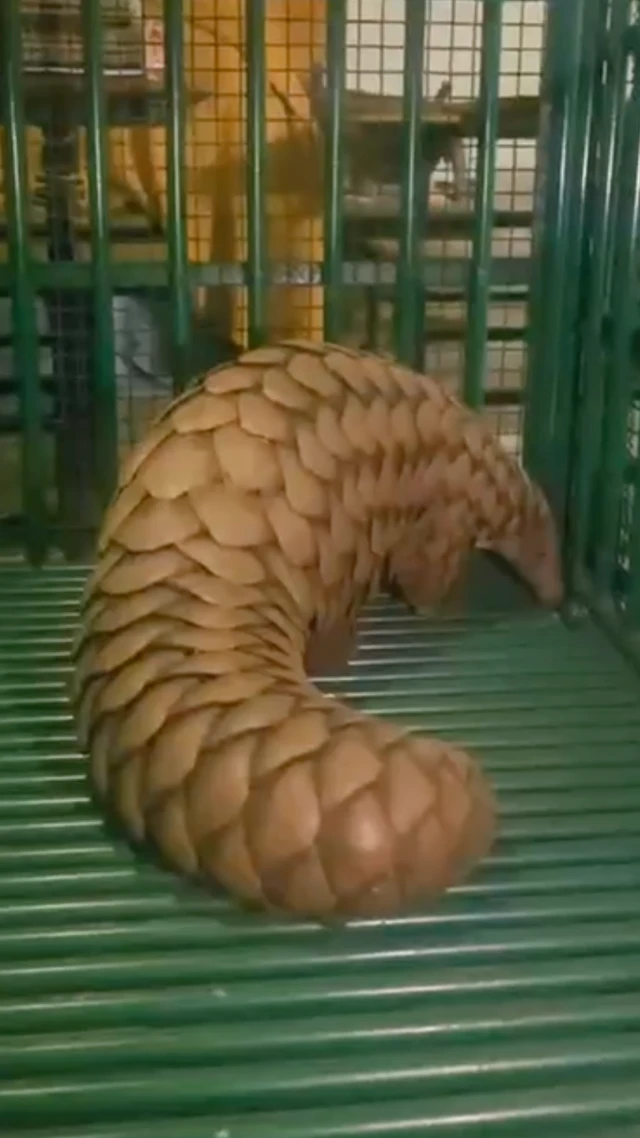 રાજકોટ, બીબીસી ગુજરાતી