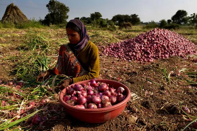 कांदा उत्पादक शेतकरी 