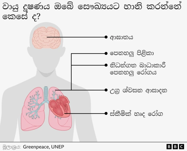 බීබීසී
