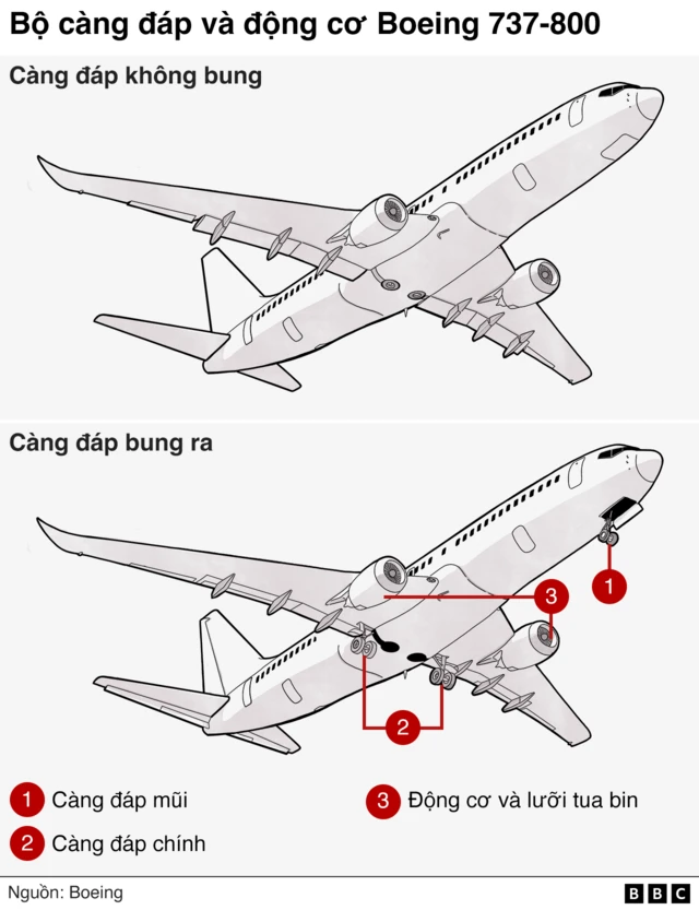 minh họa máy bay Boeing 737-800