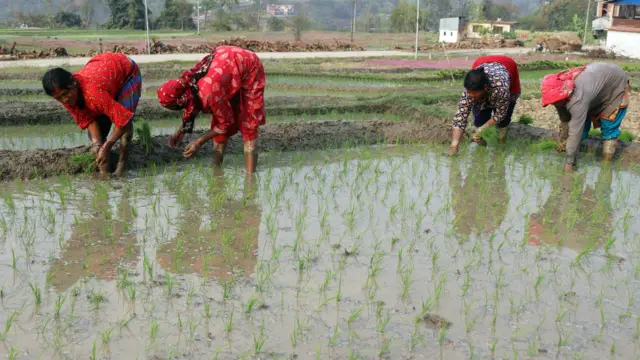 जग्गा वर्गीकरण 