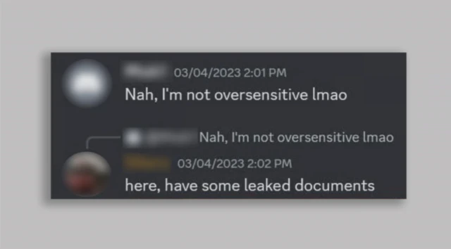 Discord screengrab: "Nah, I'm not oversensitive lmao". "Here, have some leaked documents"