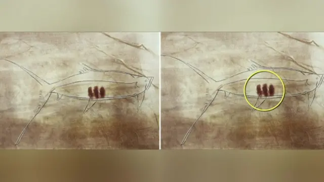 ስእሊ ዓሳ ኣብ በዓቲ