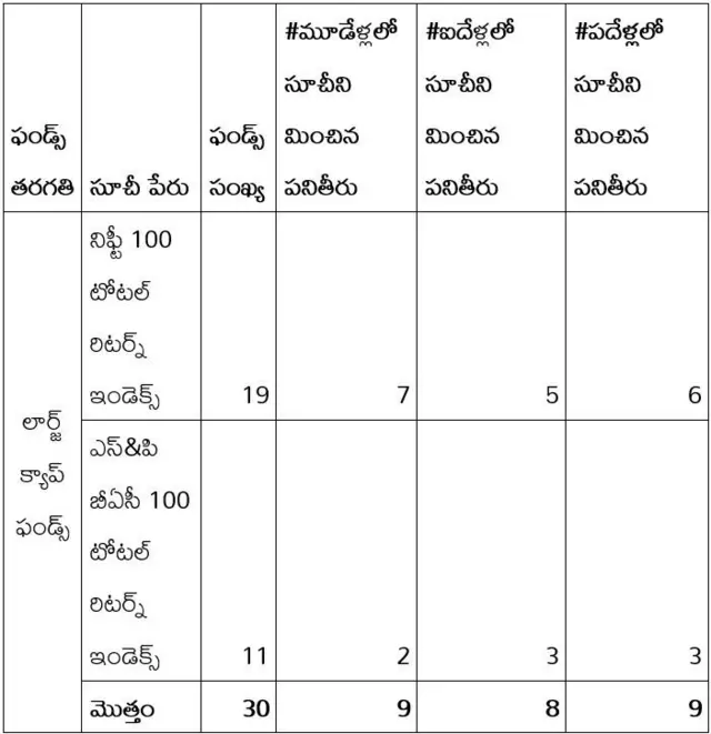 లార్జ్ క్యాప్