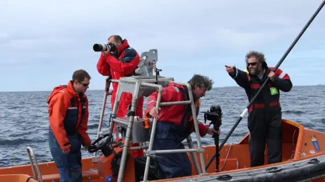 Four researchers looking out for whales off the Norwegian Arctic from a boat. They are wearing high visibility dress and have cameras, binoculars and one has a huge pole used to stick a suction cap on whales 