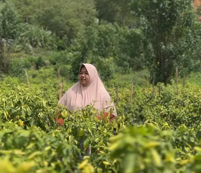 banjir sumatra, banjir aceh, sumut, sumbar 