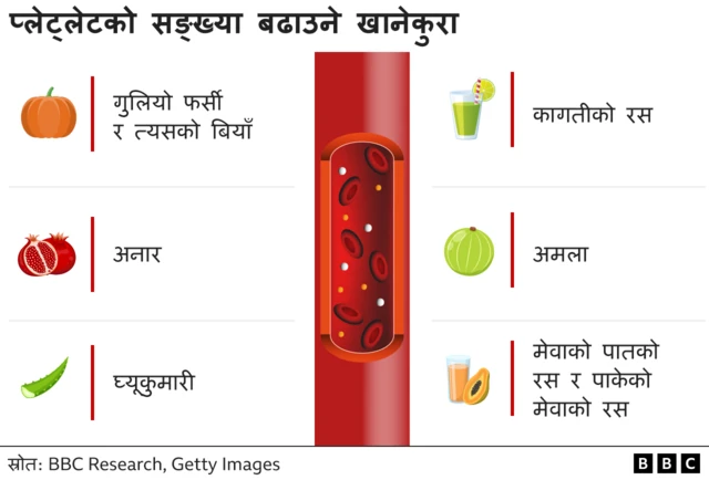 डेङ्गी हुँदा प्लेटलेट्स बढाउने खानेकुरा