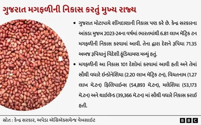 ગુજરાત, મગફળી, શીંગદાણા, ખેતી, ગુજરાતની ખેતી, કૃષિ, ખેડૂતો, ટેકાના ભાવ, કૃષિઉત્પાદન, વરસાદ, બીબીસી ગુજરાતી