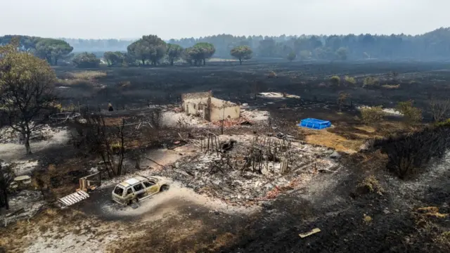 ఫ్రాన్స్, స్పెయిన్, కార్చిచ్చు