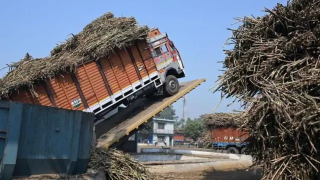 साखर निर्यातीवरील बंदीचे जागतिक आणि देशांतर्गत पातळीवरील परिणाम