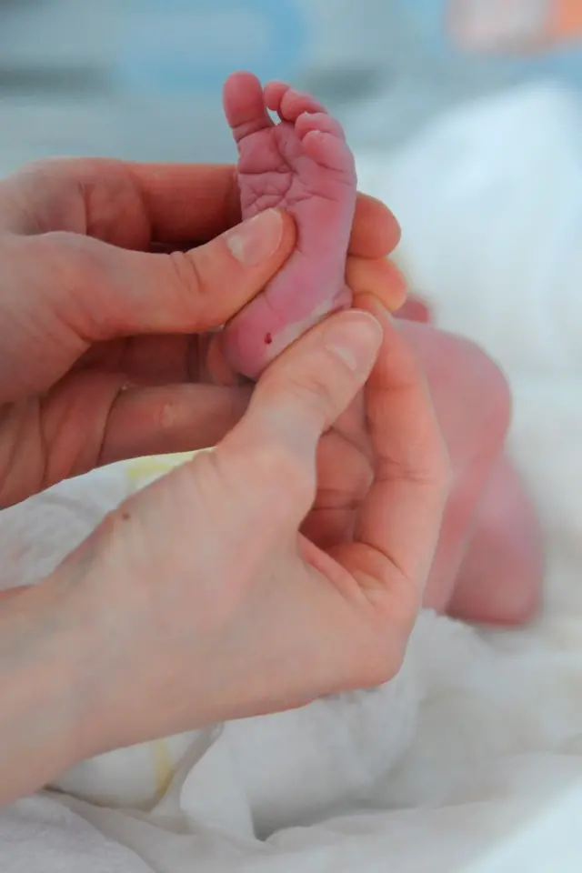  మైక్రోప్లాస్టిక్, తల్లి గర్భం, వ్యాధులు, ప్లాస్టిక్‌తో ప్రమాదాలు