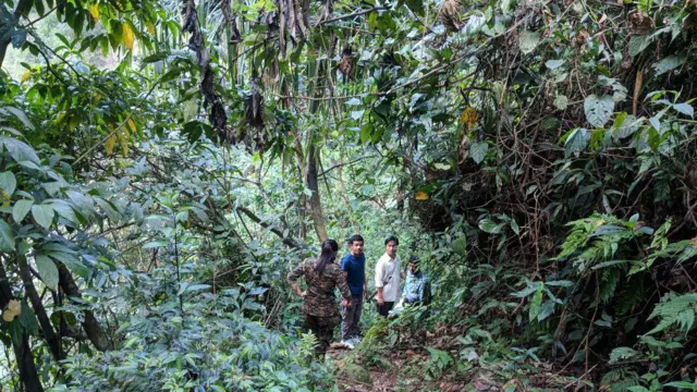 2019 साली अरुणाचल प्रदेशातले हे निवडणूक कर्मचारी एकमात्र मतदारापर्यंत पोहोचण्यासाठी जंगलात असा दुर्गम मार्गानं प्रवास करून गेले होते.