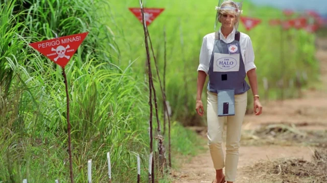 الأميرة الراحلة ديانا