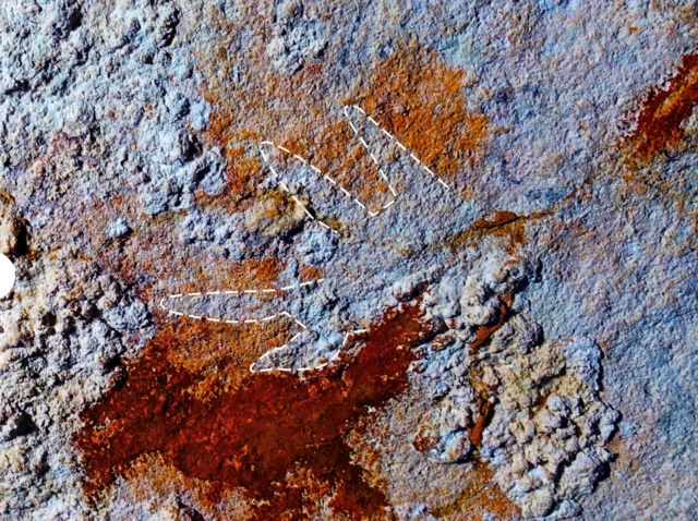 Mağara duvarındaki el çizimini görüyooruz. En az dört parmak sayılabiliyor.