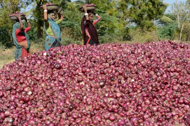 ગરીબોની કસ્તૂરી, ડુંગળી, ગુજરાત, ગુજરાતમાં ખેતી, રાજકોટ, જૂનાગઢ, ડુંગળીના ભાવ