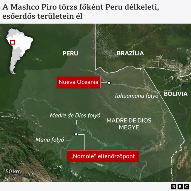 Térkép, amely délkelet-Perut és a környező brazil és bolíviai területeket mutatja, kiemelve a Madre de Dios régiót. A térképen Manu, Madre de Dios és Tahumanu nevű folyók szerepelnek. Két piros jelölő mutatja „Nueva Oceania” helyét a Tahumanu folyónál és a „Nomole” ellenőrzőpontot a Manu folyónál. Egy kis betét térkép Dél-Amerikáról mutatja Peru elhelyezkedését. A bal alsó sarokban távolságmérő: 50 km. A felső szöveg: „A mashco piro törzs főként a délkelet-perui esőerdőkben él.” BBC-logó a jobb alsó sarokban.