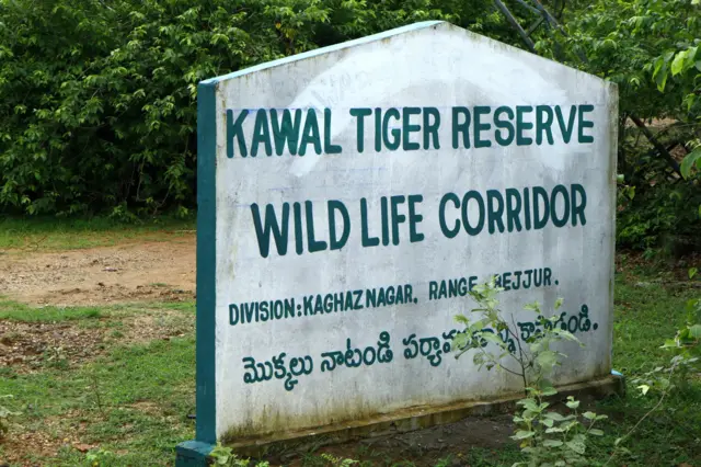 తెలంగాణ, జీవో 49, ఆదివాసీలు, కుమ్రం భీమ్ కన్జర్వేషన్ రిజర్వ్