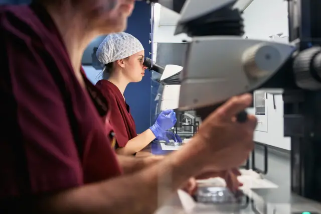 બીબીસી ગુજરાતી મહિલા આરોગ્ય એગ્સ ફ્રીઝિંગ પ્રજોત્પતિ અંડાશય આઈવીએફ