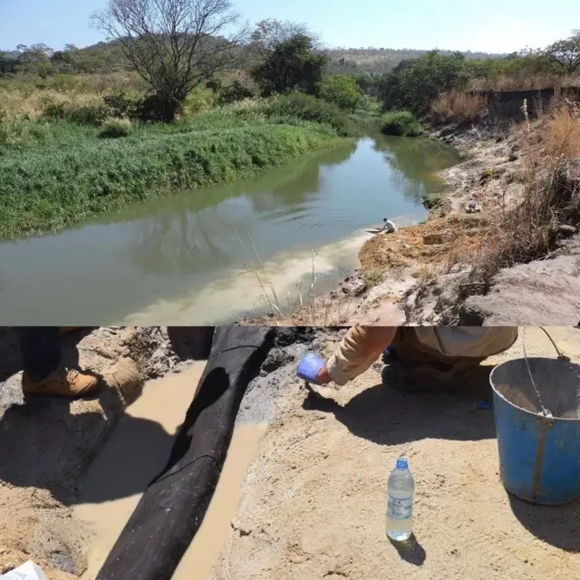 ஜாம்பியா மரக்கட்டை