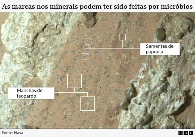 Ilustração mostra uma vista aproximada das rochas encontradas em Marte, com anotações indicando as chamadas manchas de leopardo e sementes de papoula