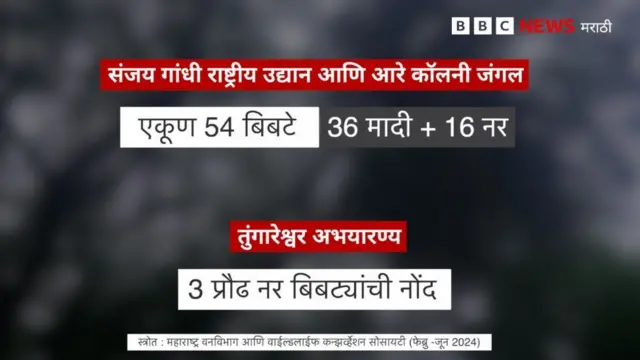 कोट कार्ड