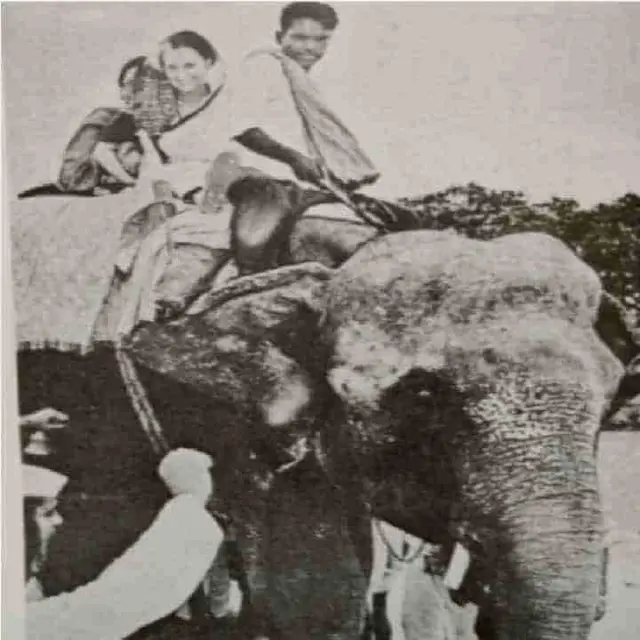 பாலியல் ஊழல் 