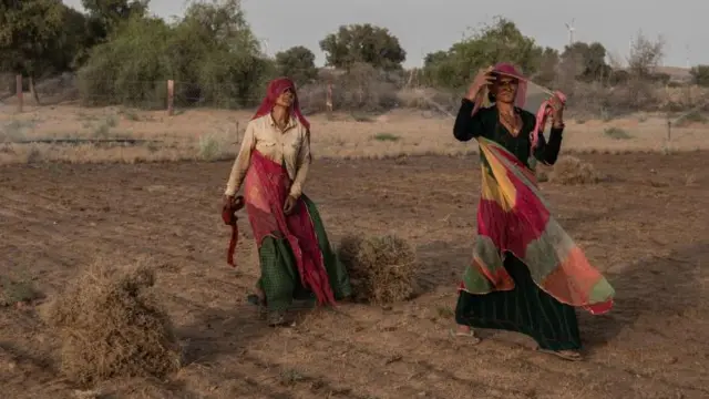 બીબીસી ગુજરાતી જીરું ગુજરાત રાજસ્થાન ખેતી ખેડૂત શિયાળુ પાક વાવેતર જીરાના ભાવ