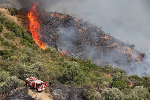 Cette photo, prise à Béjaïa, en Algérie, le 19 août 2025, montre la Protection civile intervenant pour éteindre des incendies dans les montagnes d'Adekar. 
