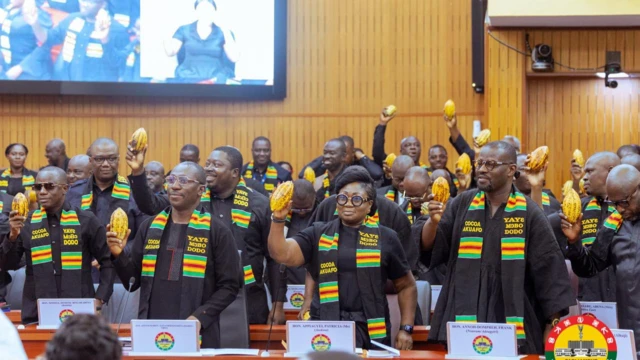 Opposition lawmakers wear black wey dem carry cocoa pods to parliament to protest consumer price cut of di commodity for farmers