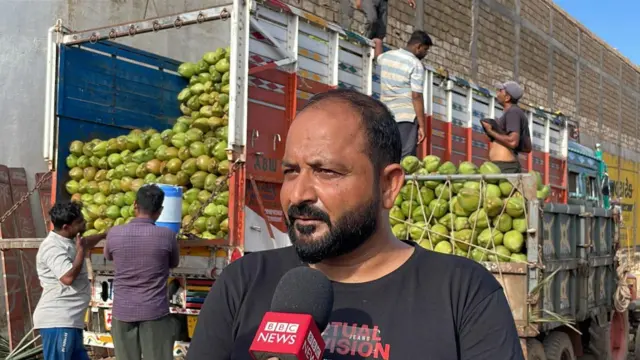 ગુજરાત, બીબીસી ગુજરાતી, નાળિયેરીની ખેતી, જૂનાગઢ, ગીર સોમનાથ, ગુજરાતની ખેતી, નાળિયેરી કેવી રીતે ઊગે, નાળિયેર પાણી