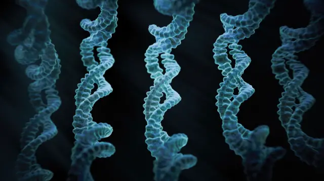 ડીએનએ હેલિક્સ