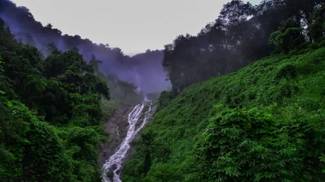 மேற்கு தொடர்ச்சி மலை