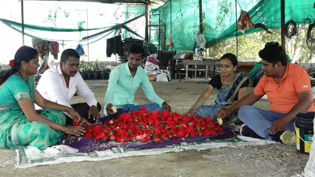 दिलवाले कुटुंबीय.