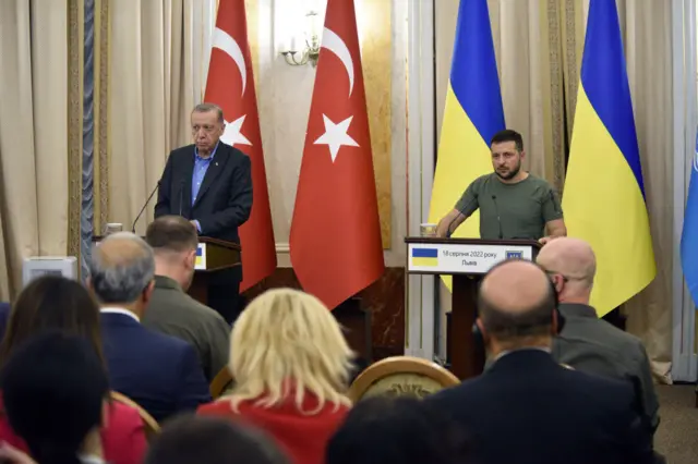 Зеленський та Ердоган