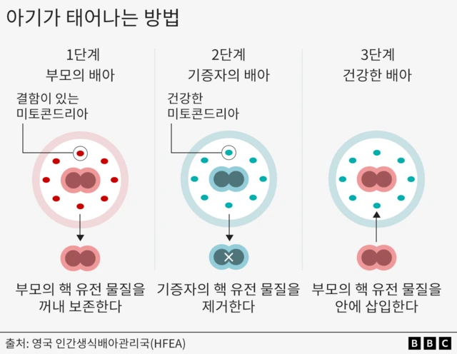 아이가 태어나는 3단계를 보여주는 그래프 