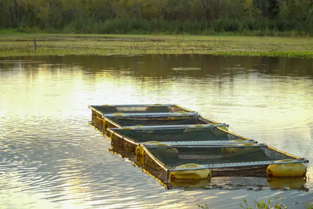 ગુજરાતના આઇએએસ નીતિન સાંગવાન પર હુમલો