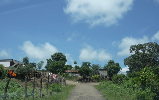 पालडोह गावाकडे जाणारा रस्ता