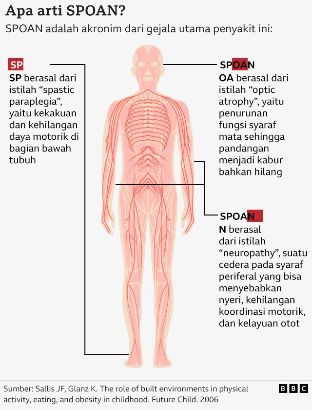 Arti SPOAN