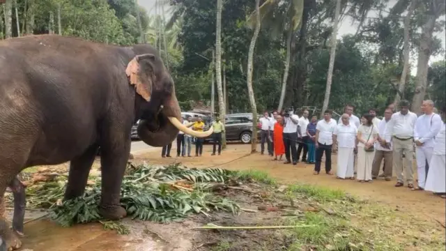 තායිරාජා